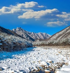 compressed_image (22)