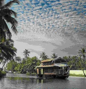 dileep-m-rv5ddI1WyCw-unsplash_compressed