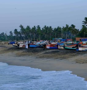 mayur-arvind-6P-66ETwwH0-unsplash_compressed